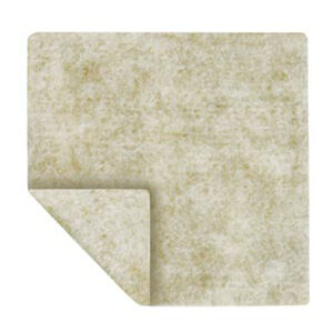 ALGICELL AG W/SILVER CALC ALG 2X2 10/BX